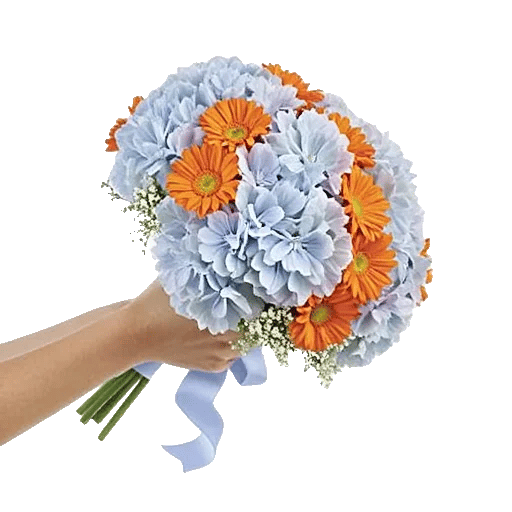 Serene Petal Harmony