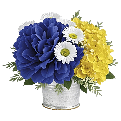 Petal Radiance Bliss