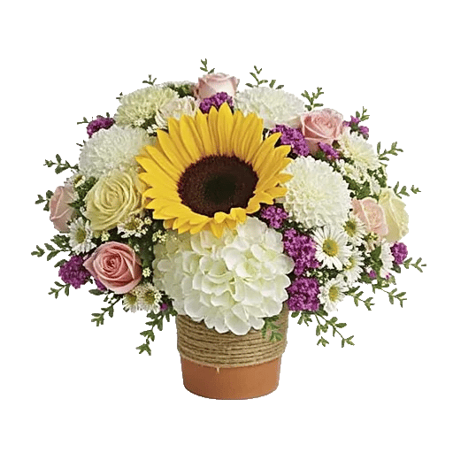 Amber Sunflower Glow