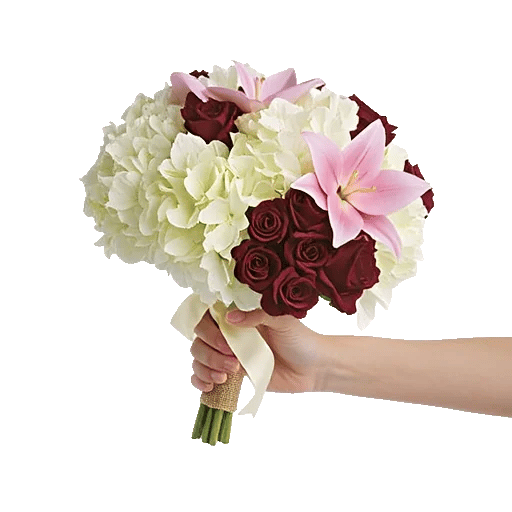 Serene Petal Harmony