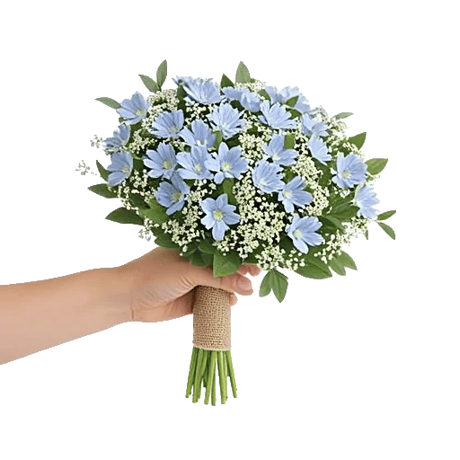 Sapphire Bloom Whisper