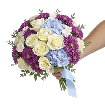 Serene Petal Harmony