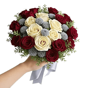 Crimson Rose Elegance
