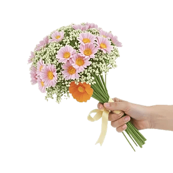 Blossom Harmony Display