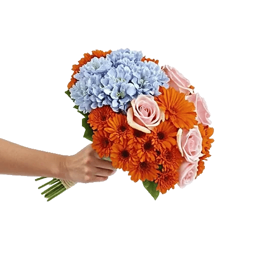 Blossom Petal Serenity