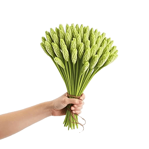 Emerald Leaf Harmony