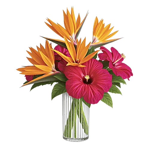 Petal Radiance Bliss