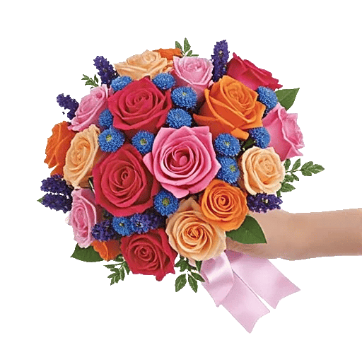 Pastel Pink Roses