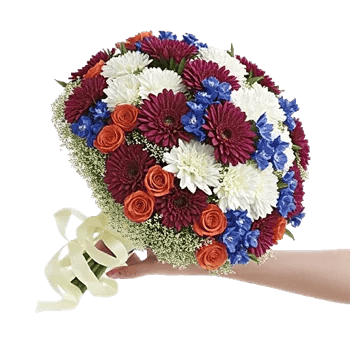 Blushing Rose Symphony