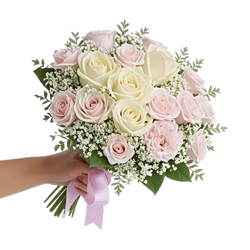Pastel Pink Roses