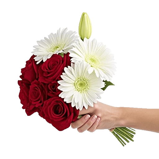 Crimson Rose Elegance