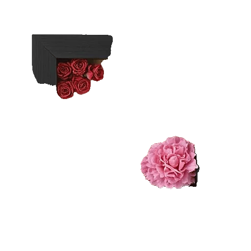 Crimson Rose Elegance