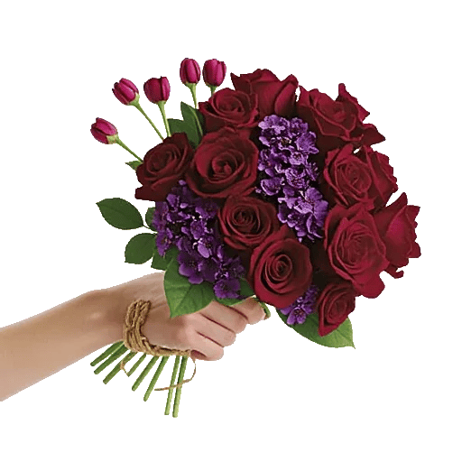 Crimson Rose Elegance