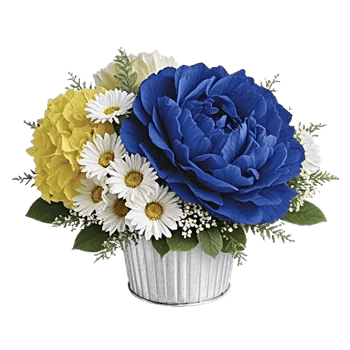 Petal Radiance Bliss