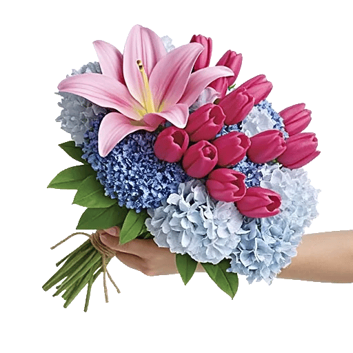 Blossom Harmony Display