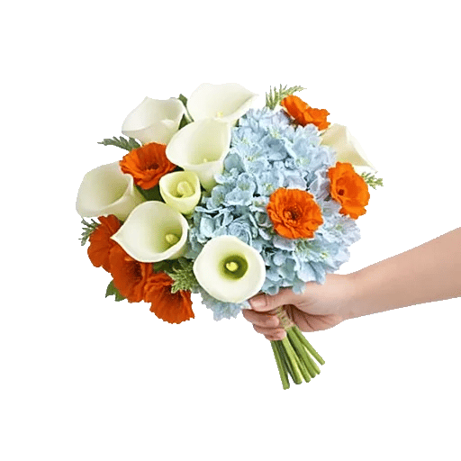 Elegant Calla Lilies