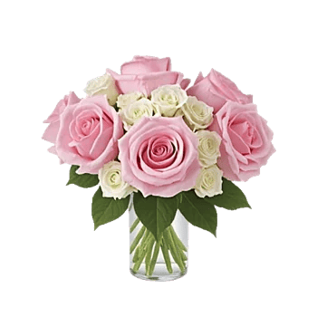 Pink Pastel Roses