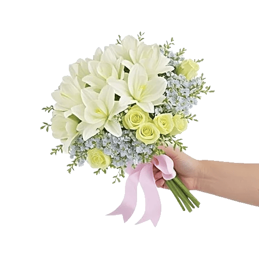 Ivory Blossom Radiance