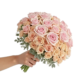 Pastel Pink Roses