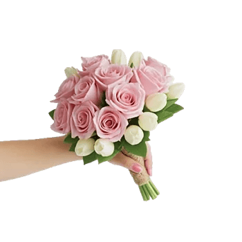 Blushing Rose Symphony