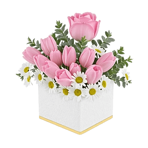 Blossom Harmony Display