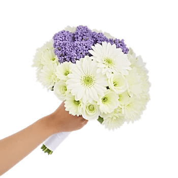 Ivory Garden Grace