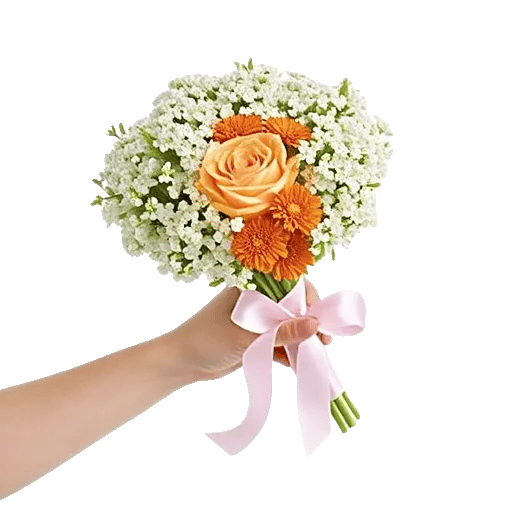 Blushing Rose Symphony