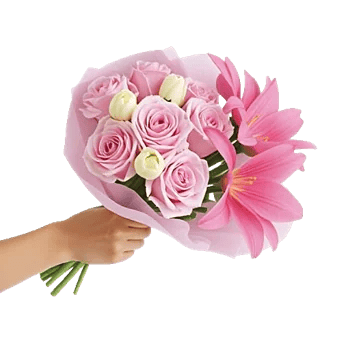 Pastel Pink Roses