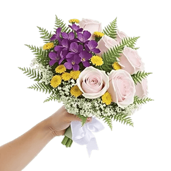 Blossom Petal Serenity