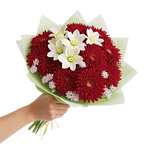 Blossom Harmony Display