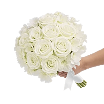 Petal Grace Harmony