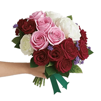 Delicate Petal Cascade