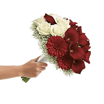 Radiant Bloom Cascade