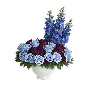 Elegant Blue Roses