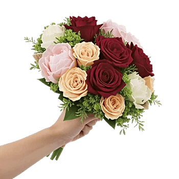 Blushing Rose Symphony