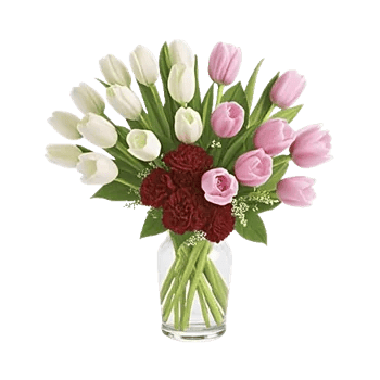 Velvet Tulip Display