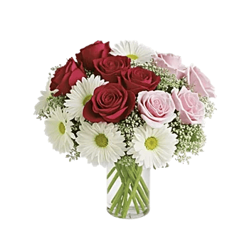 Crimson Blossom Harmony