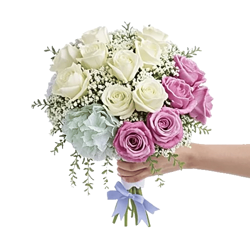 Serene Petal Harmony