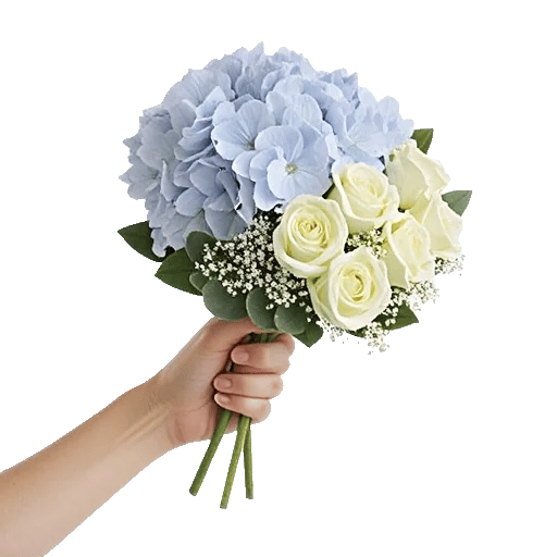 Serene Petal Harmony