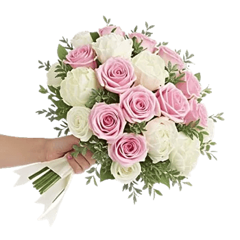 Blushing Rose Symphony