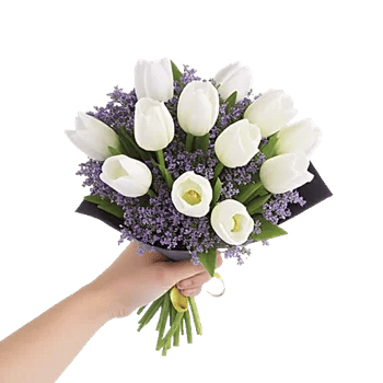 Velvet Tulip Display