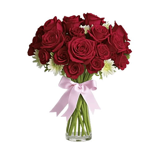 Radiant Rose Symphony
