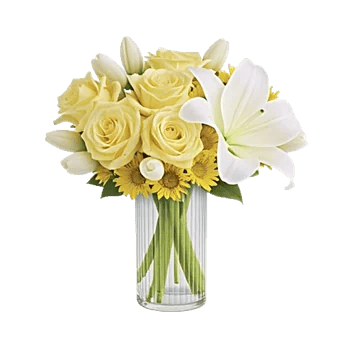 Ivory Blossom Radiance