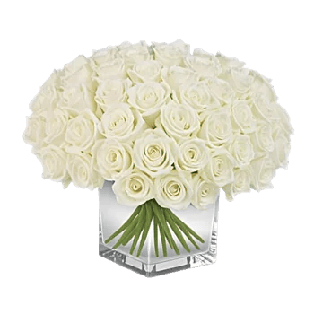 Pearl Rose Elegance
