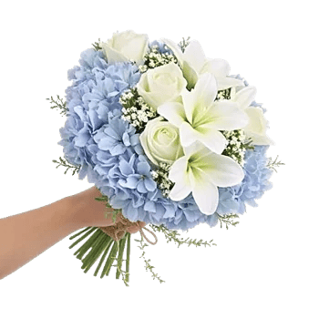 Serene Petal Harmony