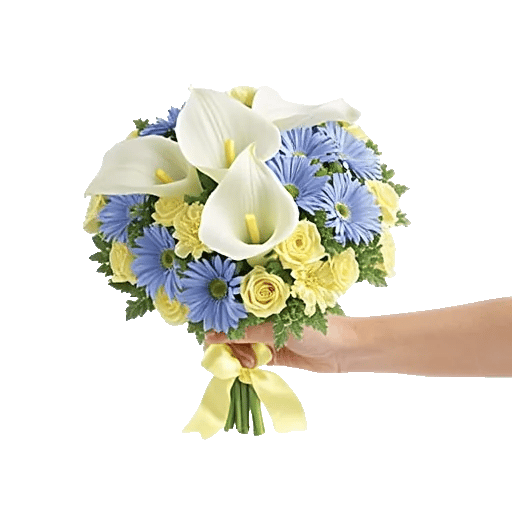 Elegant Calla Lilies