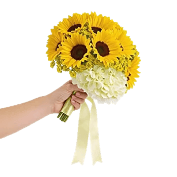 Radiant Bloom Cascade