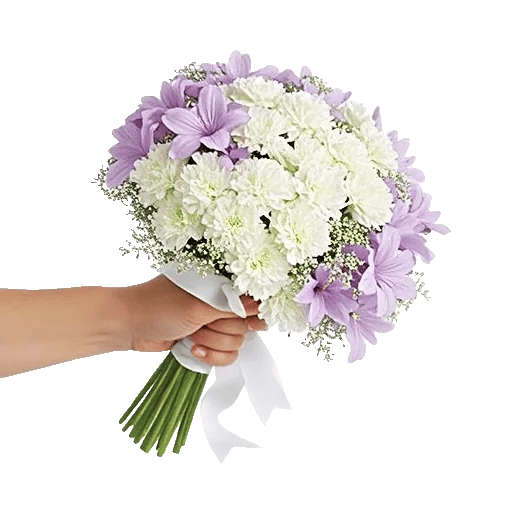 Petal Softness Display