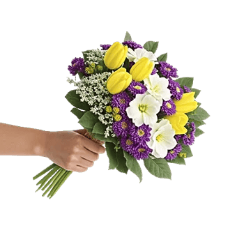 Blossom Harmony Display