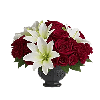 Crimson Rose Elegance